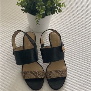 Coach Snakeskin Heel